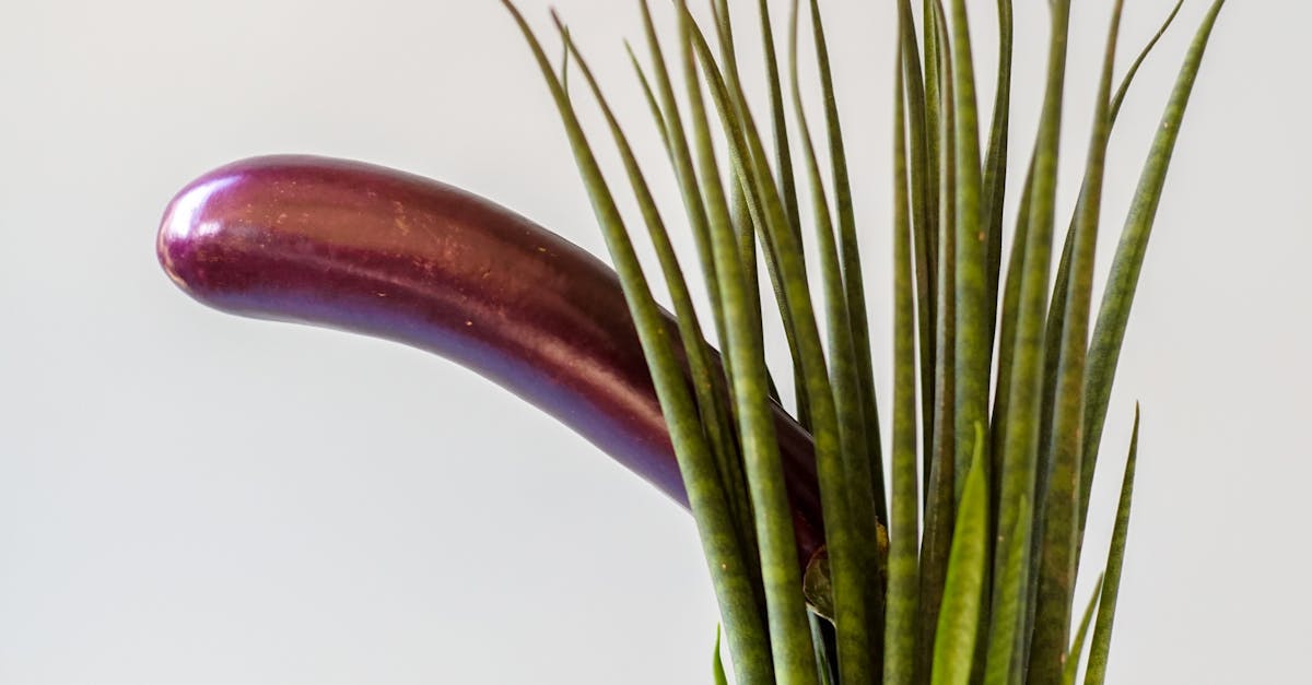 How to Choose the Right Foods for a Healthy Libido